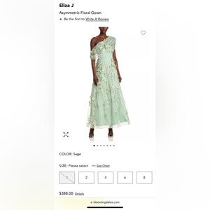 Eliza J Sage One-Shoulder Floral Appliqué Gown